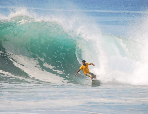 Surfing-Mazatlan-Amapa tours-