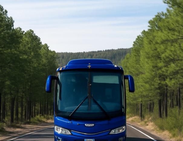 Bustickets von Chihuahua nach Copper Canyon